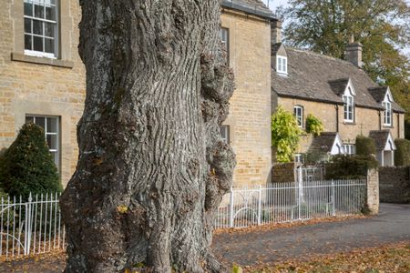 Tree Trunk; Lower Slaughter Village; Cheltenham; England; UK