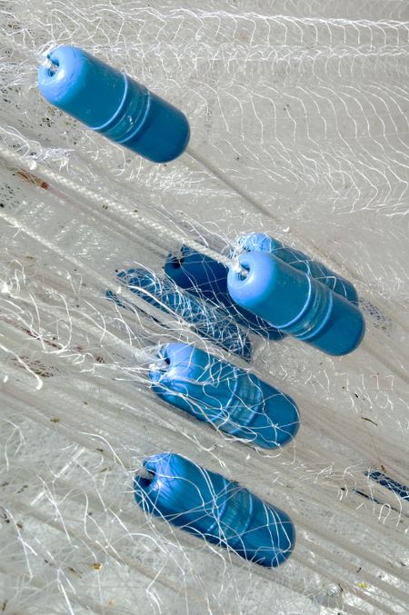 Blue floats in white fishing net