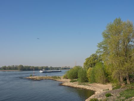 The river Rhine in germany