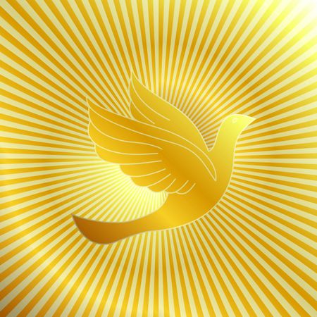 Golden dove with golden background