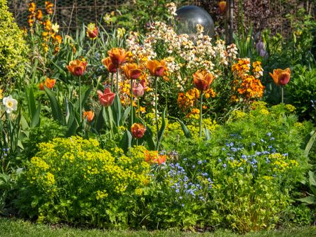 springtime in a german garden