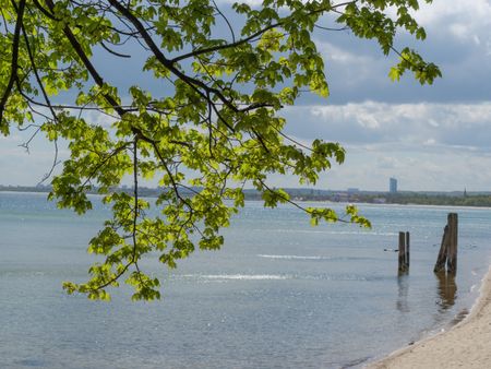 the Baltic sea in poland and the City of gdansk