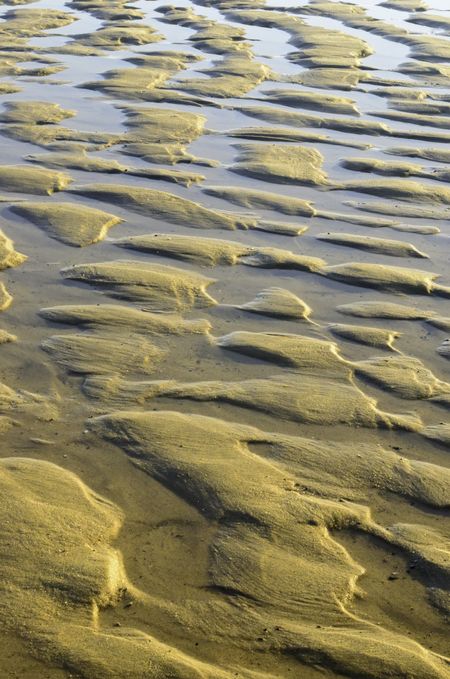 Beach abstract after high tide on Cape Cod
