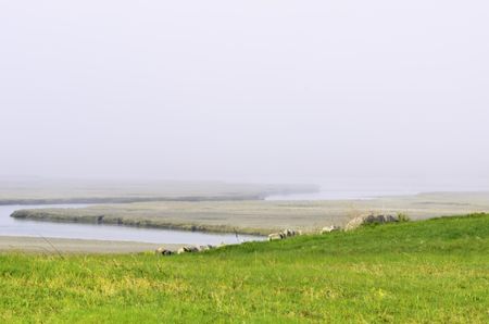 Tidewater stream winds across salt marsh into misty oblivion in Cape Cod