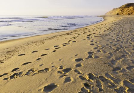 Sandy beach marked with many footprints shortly after dawn on Cape Cod