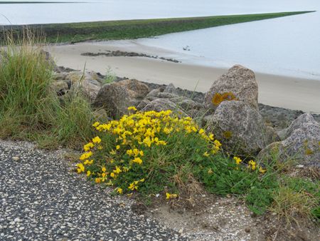 Baltrum Island in the North sea