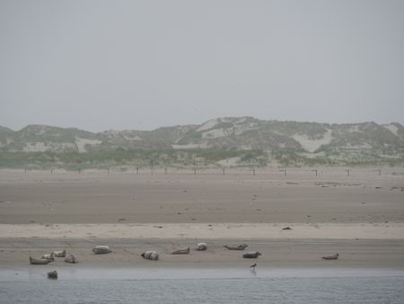 Baltrum Island in the North sea