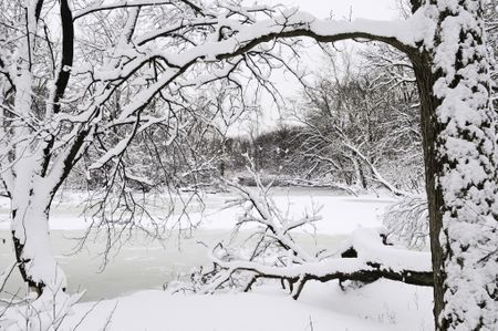 Winter at a glance: River with snow and ice framed by trees in foreground after a blizzard early in March, Oak Brook, Illinois