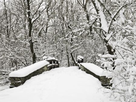 Winter scenic: Approach to footbridge in woods after a heavy snowfall, Oak Brook, Illinois