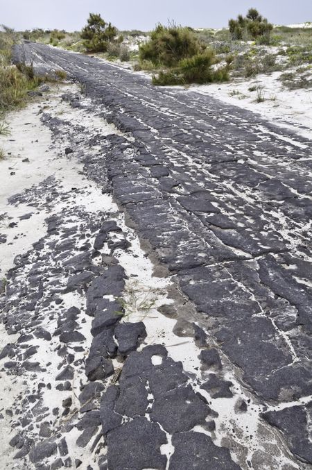 Ruins of Baltimore Boulevard, an island road of asphalt 15 miles long, destroyed by a storm in 1962, Assateague Island National Seashore, Maryland