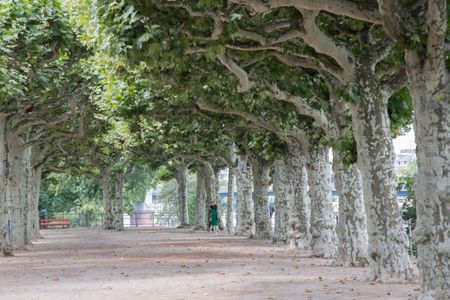 River Bank in Frankfurt; Germany