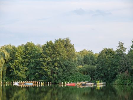 evening at a lake in germay