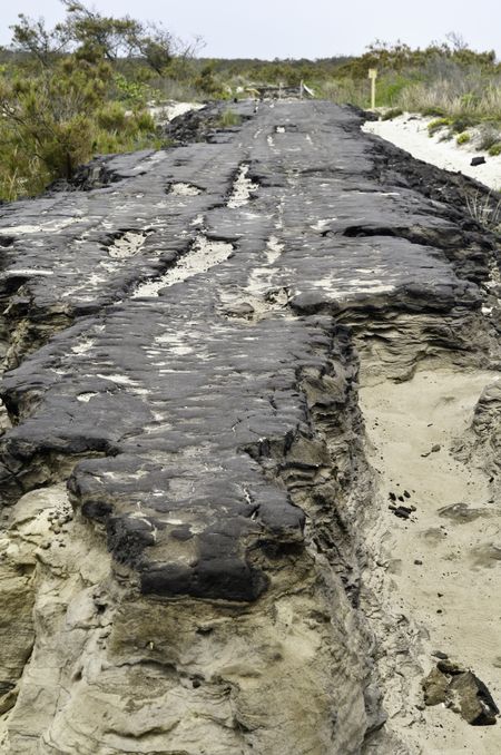 Ruins of Baltimore Boulevard, an island road of asphalt 15 miles long, built for housing development in the 1950s, destroyed by a storm in 1962, Assateague Island National Seashore, Maryland, USA