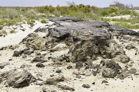 Ruins of Baltimore Boulevard, an island road of asphalt 15 miles long, built for housing development in the 1950s, destroyed by a storm in 1962, Assateague Island National Seashore, Maryland, USA