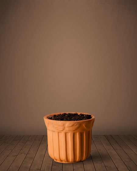 Flowerpot with empty space