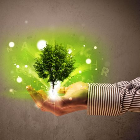 Young businessman holding a glowing tree in his hand