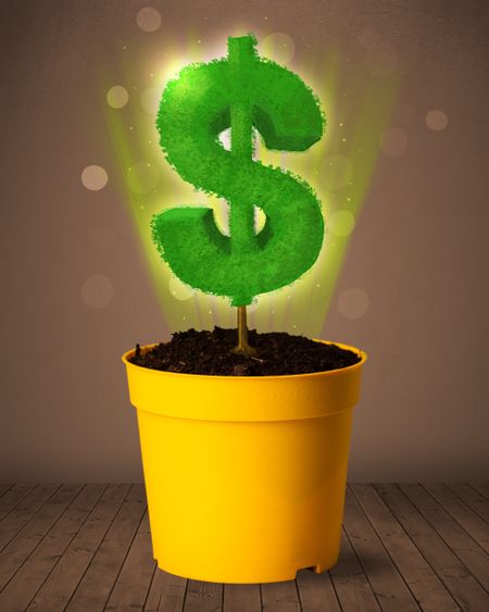 Shining dollar sign tree coming out of flowerpot