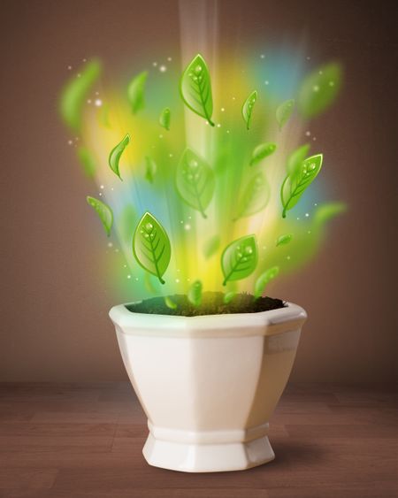 Glowing green leaves coming out of flowerpot