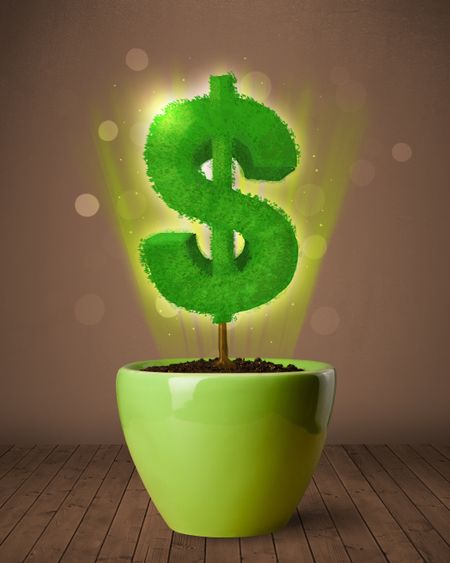 Shining dollar sign tree coming out of flowerpot