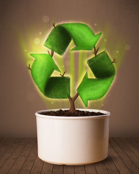 Shining recycle sign growing out of flowerpot concept