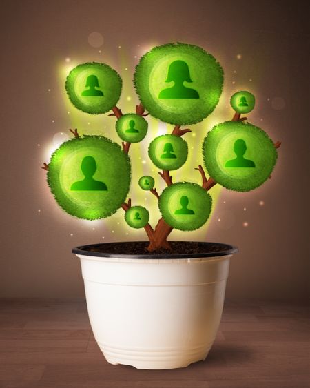 Shining social network tree coming out of flowerpot
