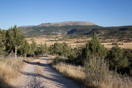 Countryside near Covarrubias, Burgos, Castilla y Leon, Spain