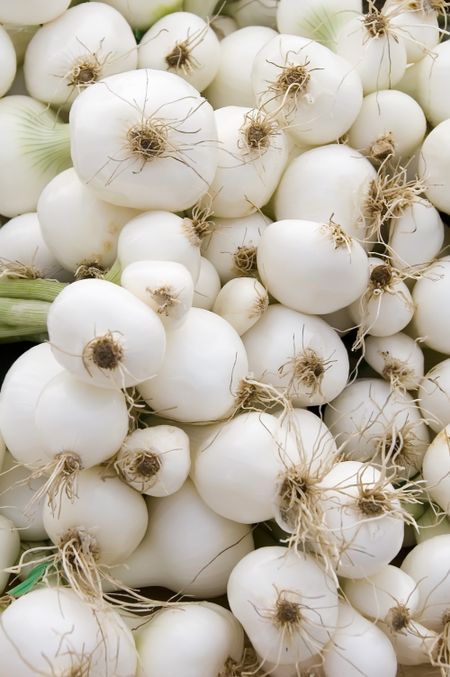 Raw white onions
