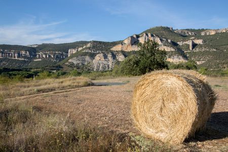 View from Pesquera de Ebro and Hay Barrel; Burgos; Spain