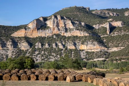 View near Pesquera de Ebro with Barrels of Hay; Burgos; Spain
