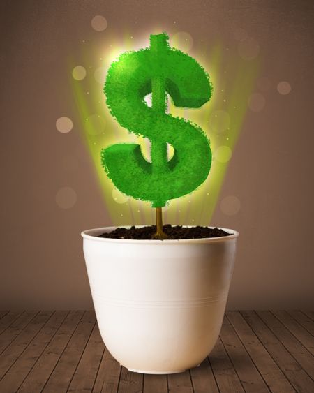 Shining dollar sign tree coming out of flowerpot