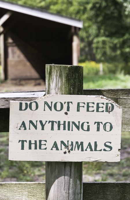 Sign on public farm in northern Illinois: "Do not feed anything to the animals"