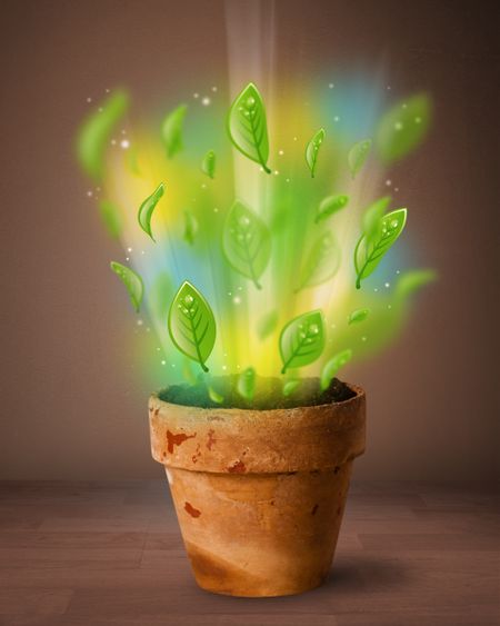 Glowing green leaves coming out of flowerpot