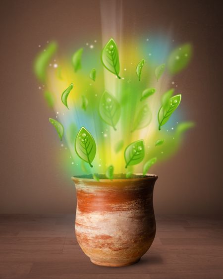 Glowing green leaves coming out of flowerpot