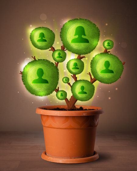 Shining social network tree coming out of flowerpot
