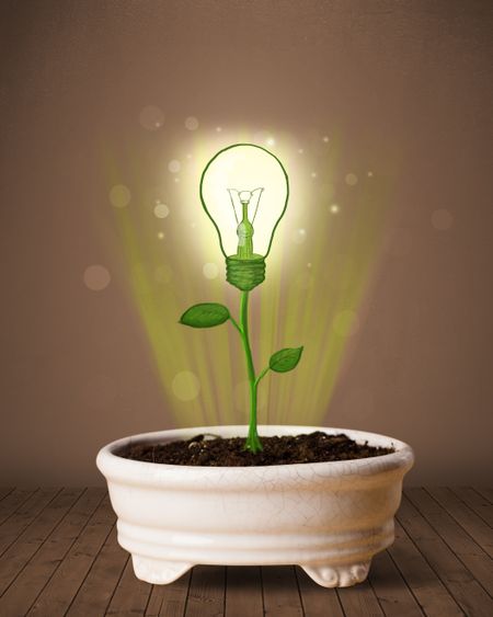 Glowing lightbulb plant coming out of flowerpot