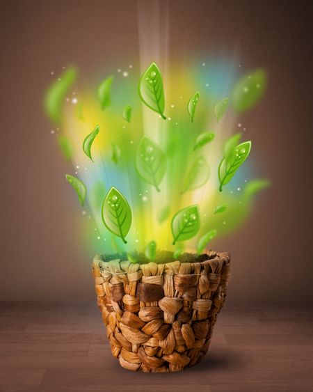 Glowing green leaves coming out of flowerpot