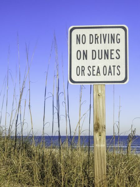 Sign for beach conservation in northern Florida, USA: No Driving on Dunes or Sea Oats