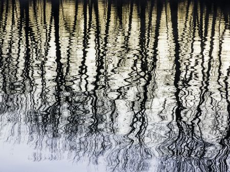 Magical moment at dawn: Silhouettes of a row of bare trees reflected along the Galien River, April in southwestern Michigan