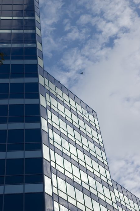 Skyscraper reflecting pigeon in flight and morning sky