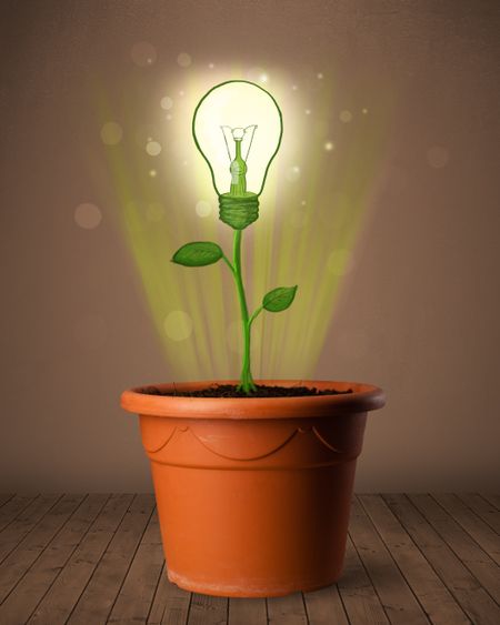Glowing lightbulb plant coming out of flowerpot