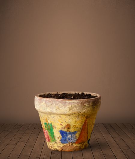 Flowerpot with empty space
