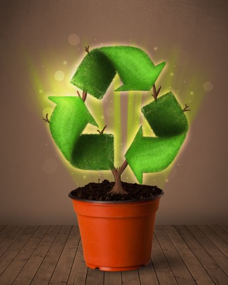 Shining recycle sign growing out of flowerpot concept