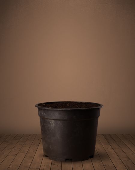 Flowerpot with empty space