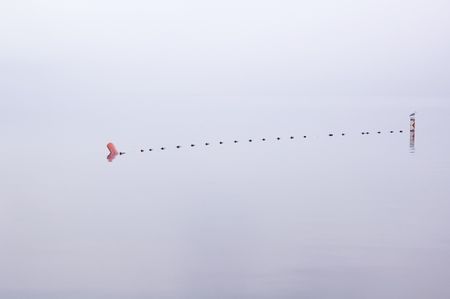String of floats from post to post with gull above misty lake on calm morning