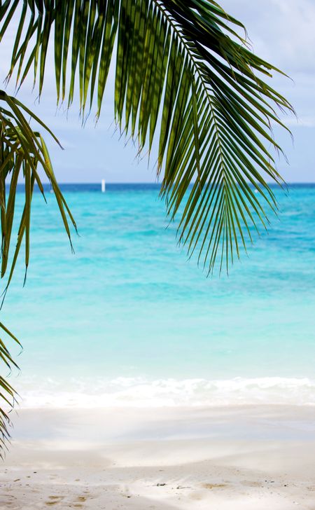 beach background on a beautiful place with a palmtree leave at the top