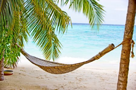 beach paradise - hammock in a beautiful resort