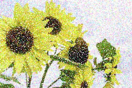 Pointillist abstract of sunflowers (binomial name: Helianthus annuus) in summer garden