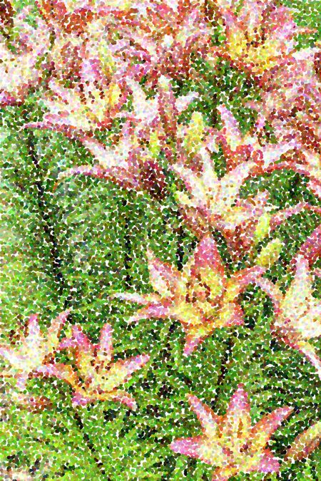 Pointillized summer flower abstract
