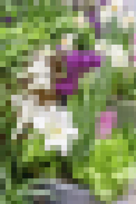 Mosaic abstract of floral arrangement in spring