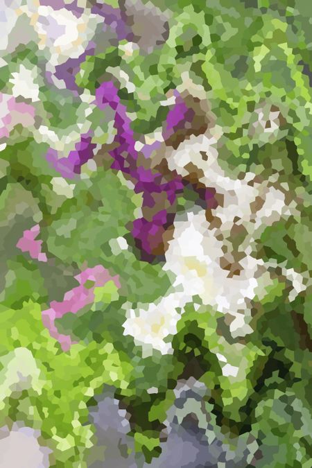 Extreme abstract of colorful floral arrangement in spring